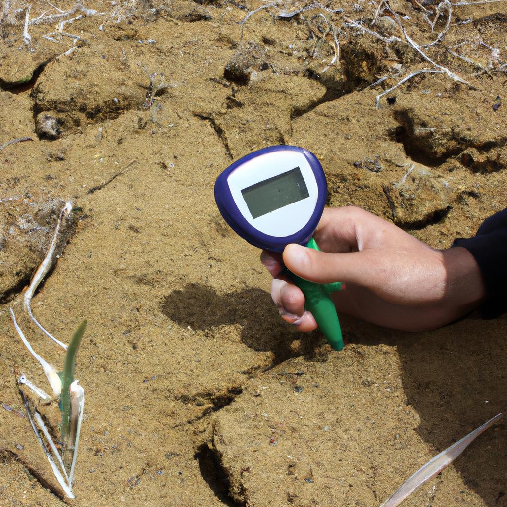 Person conducting soil moisture research